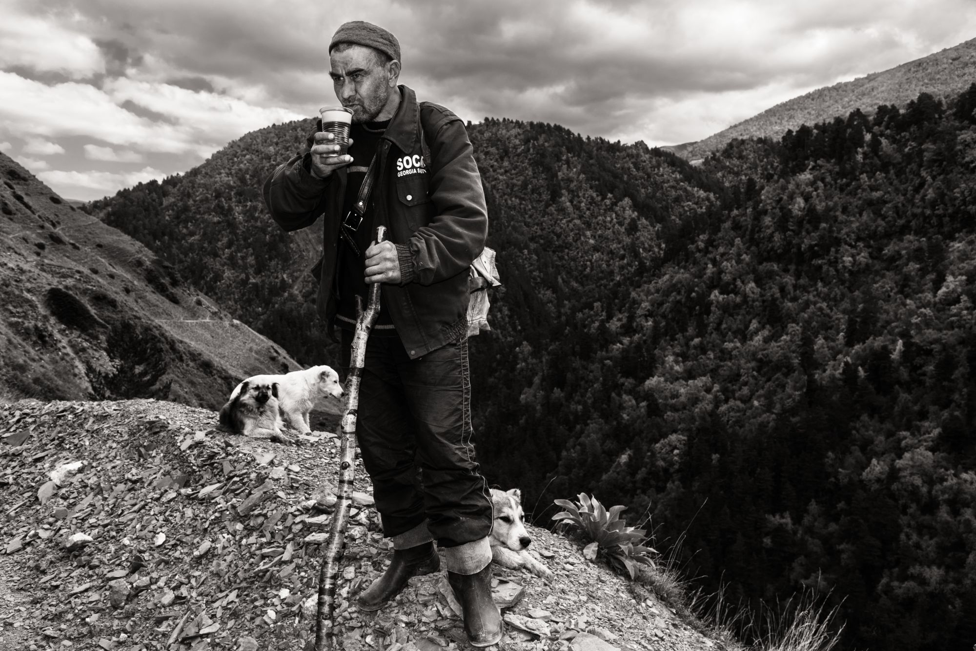 Sheep drive Tusheti, Georgia. Every year in the fall, just before the first snow arrives, shepherds gather their sheep to go on a long trek to the winter pastures in Vashlovani national park © Maurice Wolf