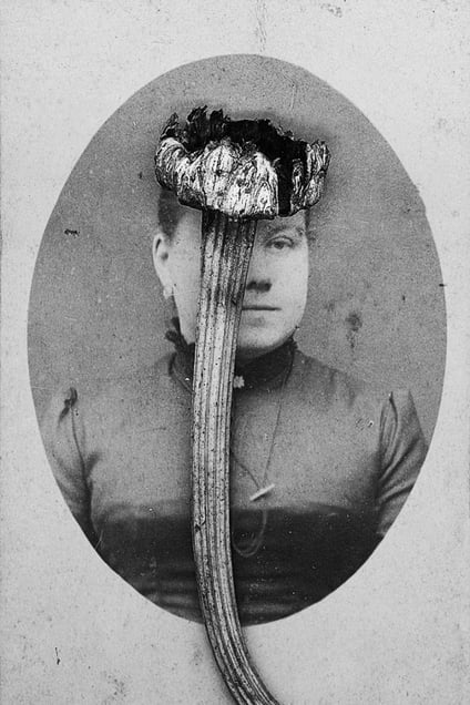 "Elysium", 2013, #3 © Marcela Paniak