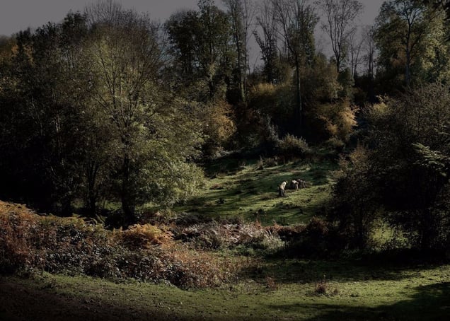 Hommage à Millet, 2013. Showing at School Gallery, Olivier Castaing. Courtesy of Photo London.