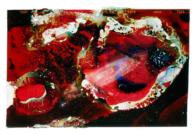 A Photograph of the Andromeda Galaxy Eaten by Bacteria Found on an ATM