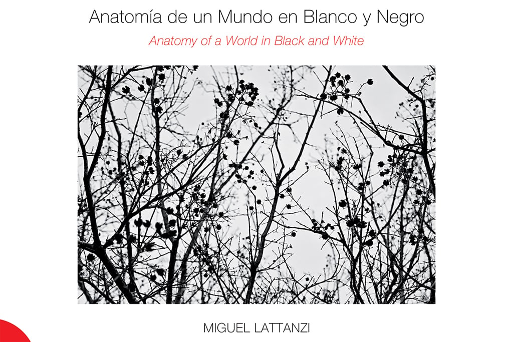 Anatomy of a World in Black and White