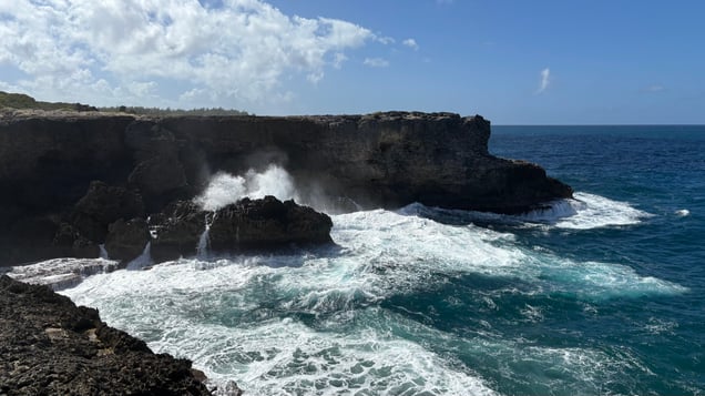 Coastal View From Animal Flower Cave, Barbados