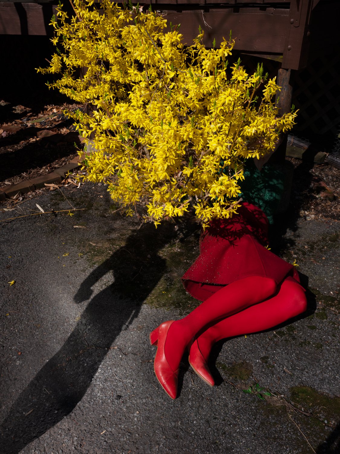 Escape © Anastasia Sierra