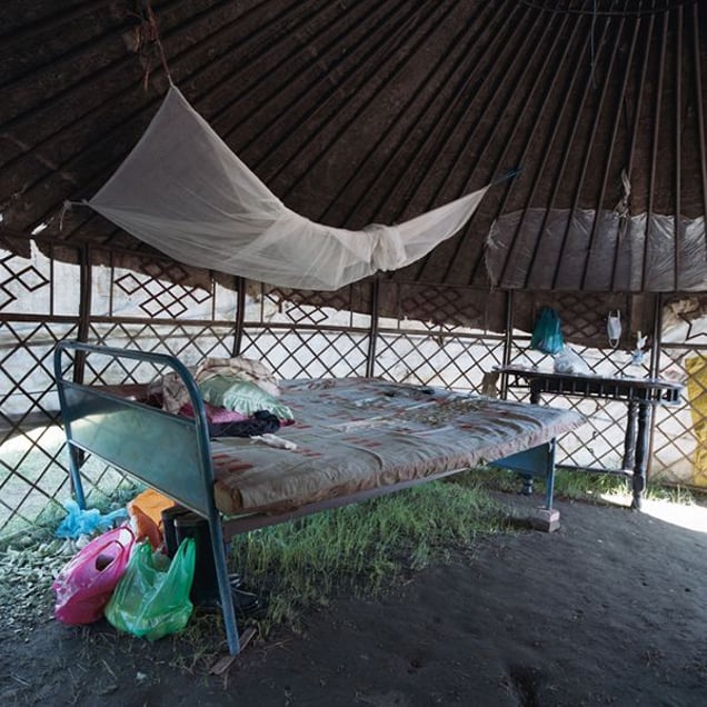 Inner Mongolia-Grass © Marrigje de Maar