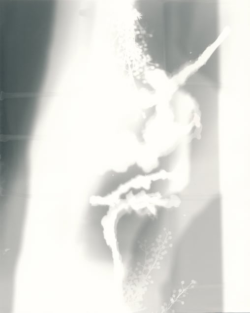 Shaft