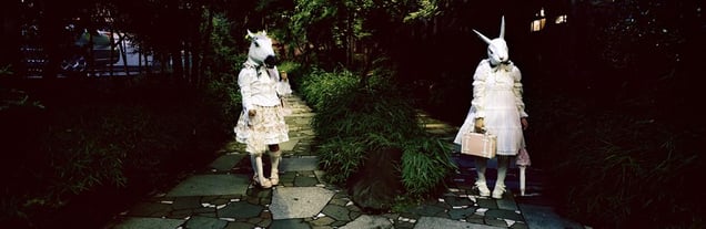 From the series Okurimono © Christian Houge