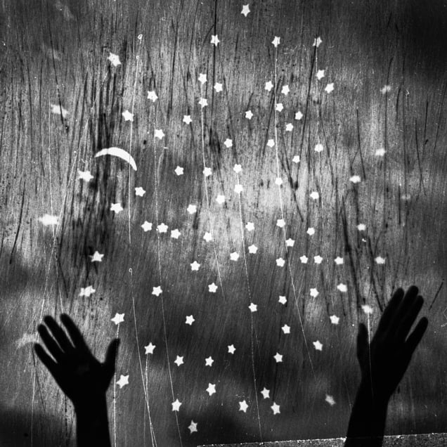 © Michael Donnor