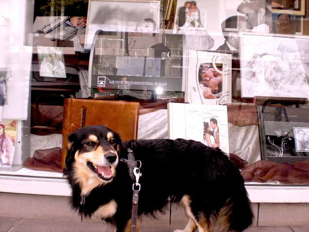 "CHICO"