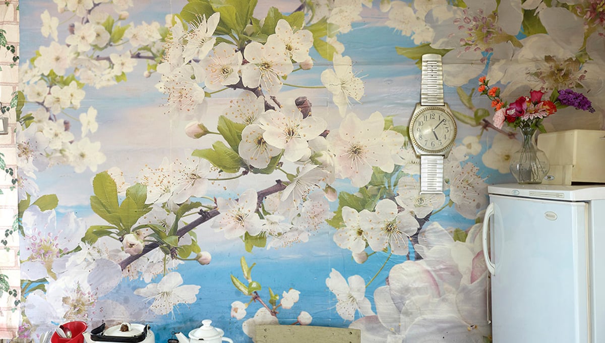 Dreaming walls # 4