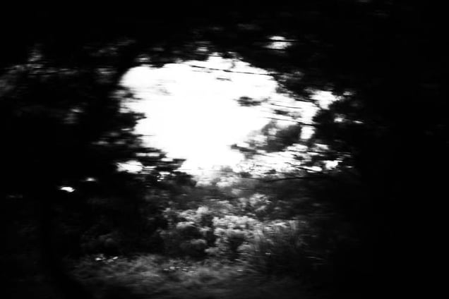 Recollecting Dream