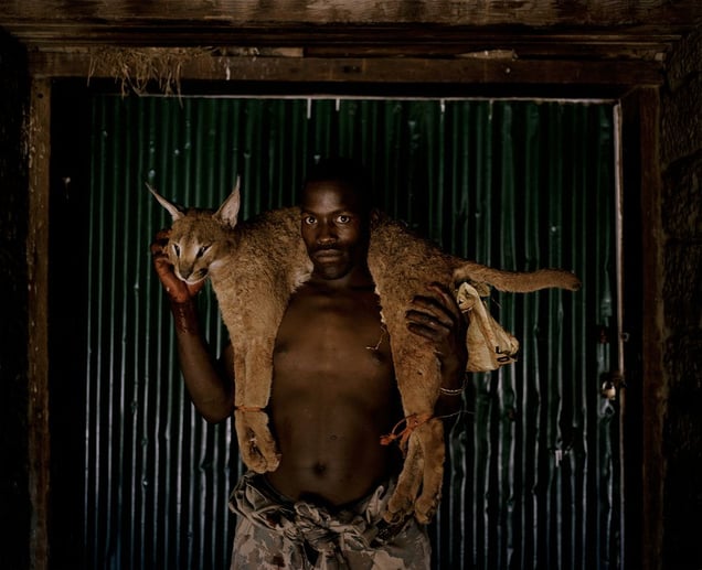 xhosa huntsman with lynx # I, south africa-from the series 'hunters'-David Chancellor