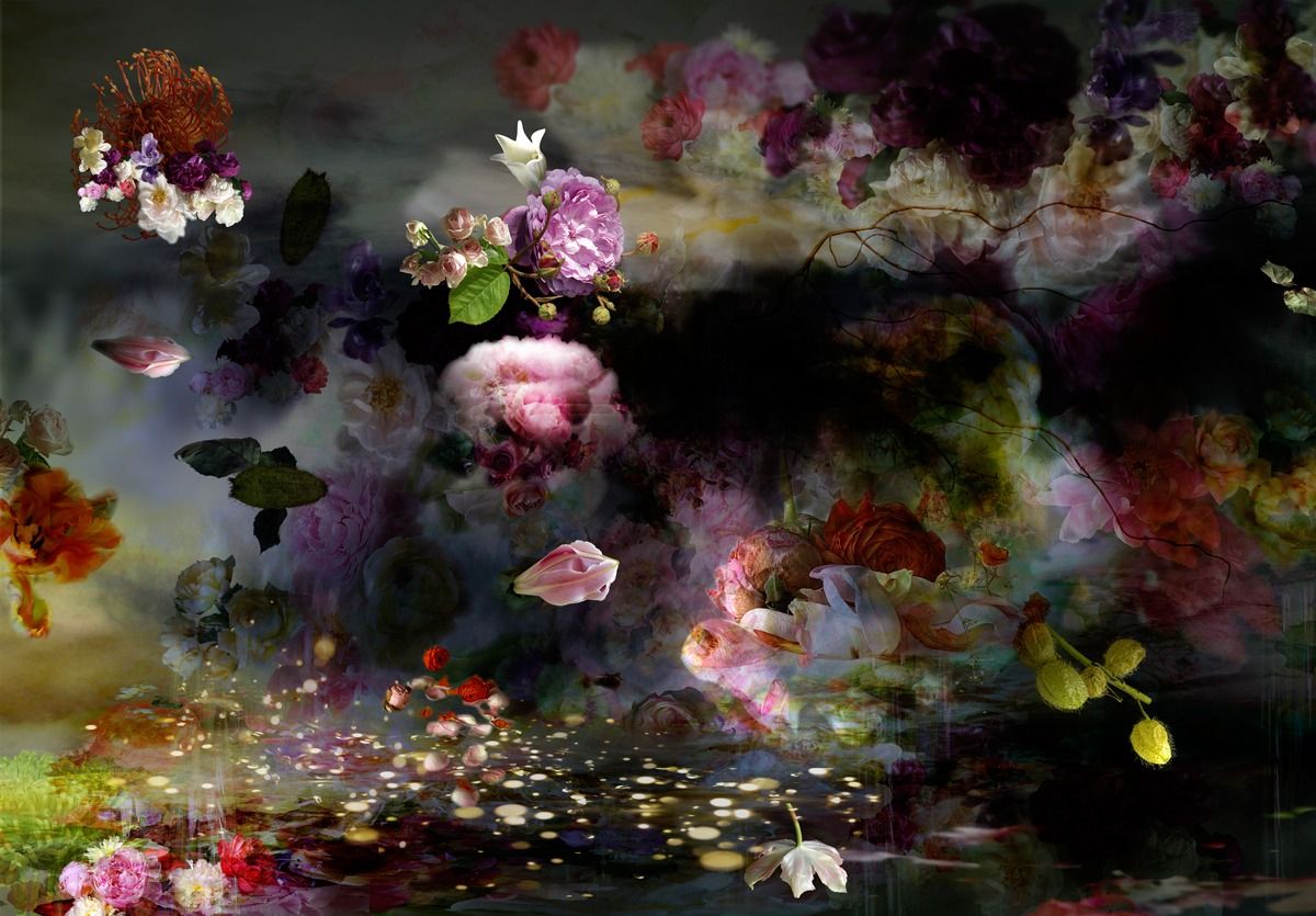 Inland Photographs and Disordered Landscapes