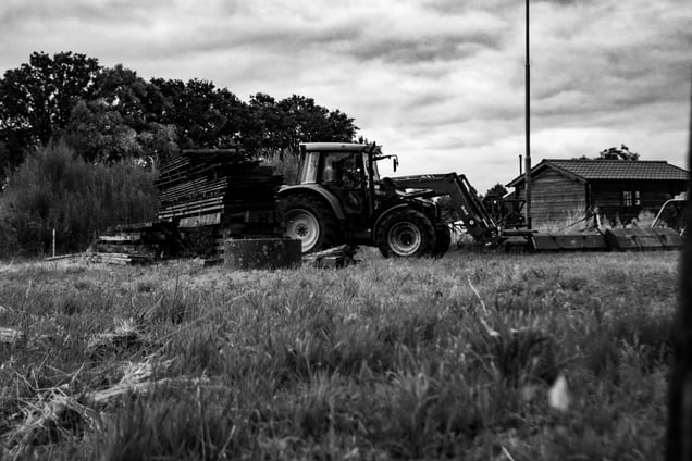 Countryside landscapes