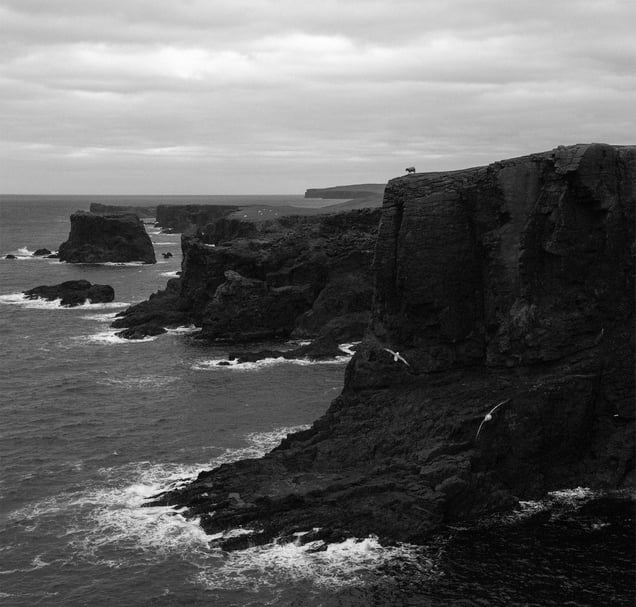 Eshaness, Shetland, from the series “Near the Wild,” 2016 © Pentti Sammallahti, courtesy of The Photographers' Gallery
