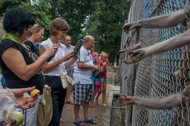 Georgia, Sukhumi, Abkhazia Tourists view and photograph monkeys in cages at the Institute of Experimental Pathology and Therapy in Sukhumi. The centre was the first place to conduct primate testing in the world. Today the run down institute mainly serves as a makeshift zoo for tourists.© Petrut Calinescu