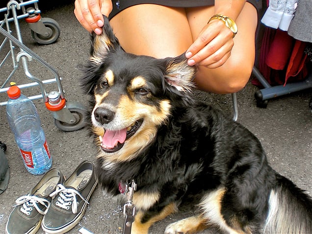 "GRACELAND & GRAVITY"