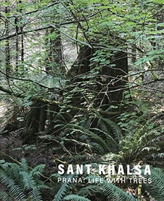 Sant Khalsa - Prana: Life With Trees
