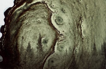 Re: Touch, the Arithmetics of Distance, Photography Competition & Awards