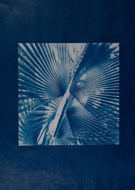 Abstraction #6