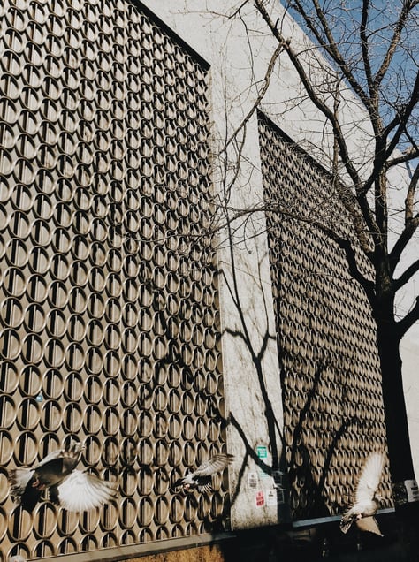 Lines, Shapes, Shadows