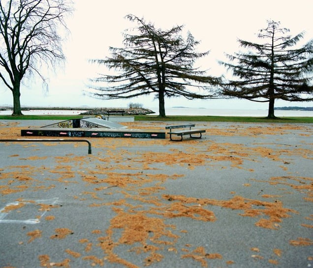 Skatepark, Helsinki