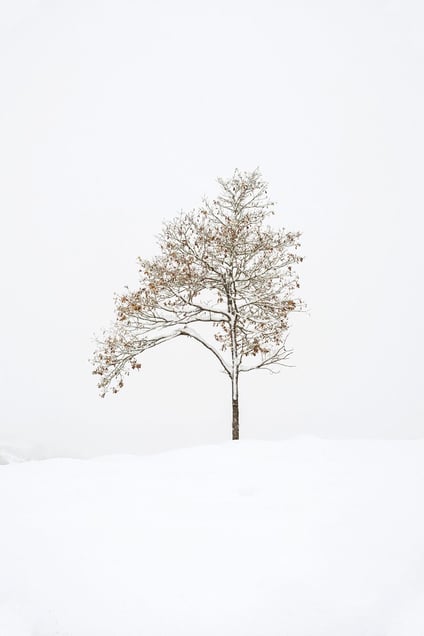 © Catherine Henriette