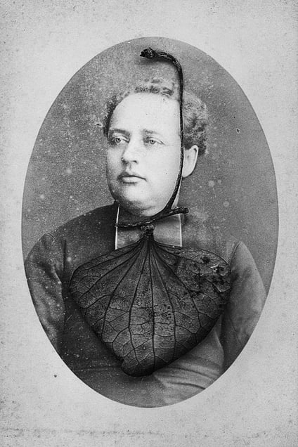 "Elysium", 2013, #4  © Marcela Paniak