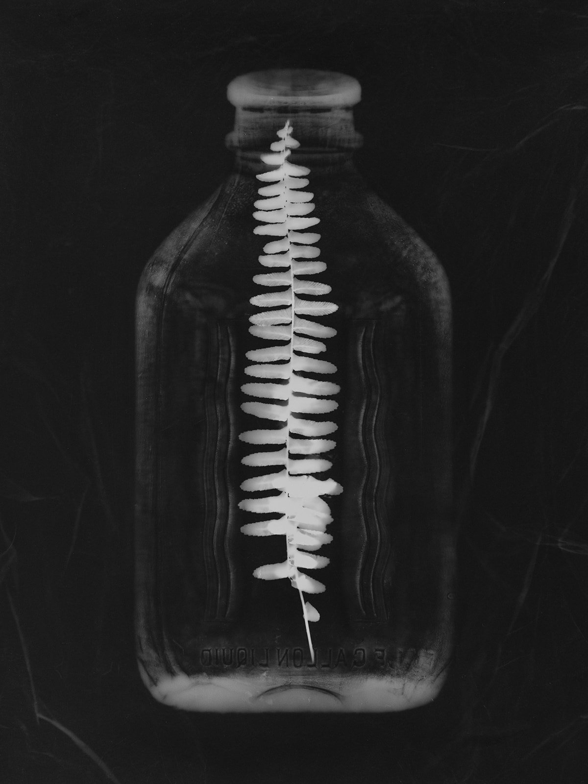 winner of photography awards