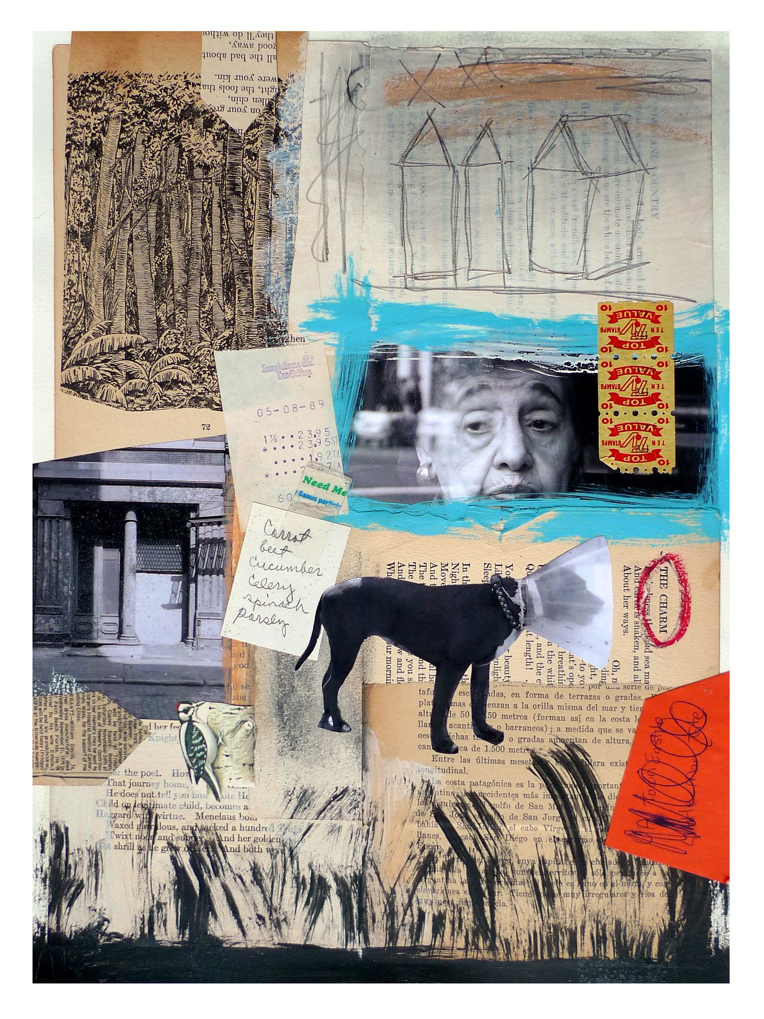 Photography Series, mixed with Collage and Found Objects