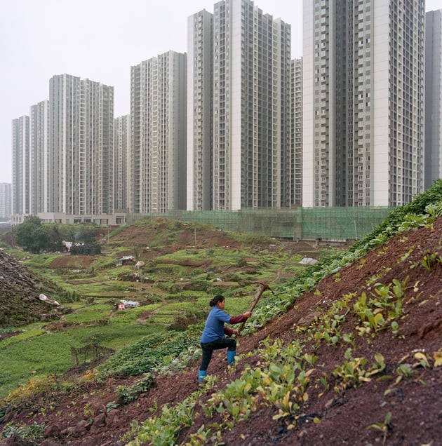 Urban farmer in Jiangbei
