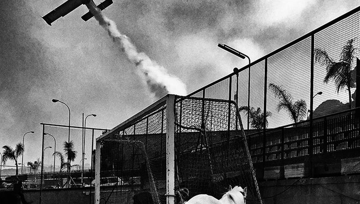 Horse and Canadair