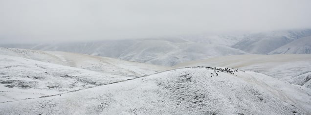Derge Tibet