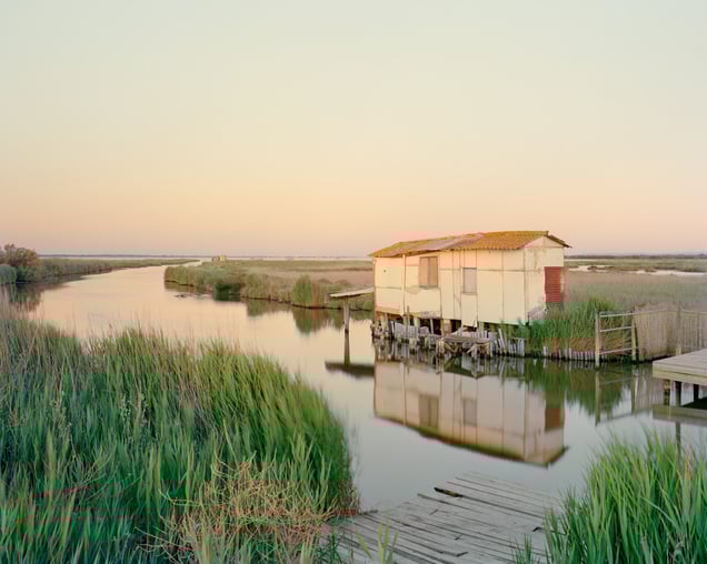 Cabane de Lansargues – Etang de l’or – 2022