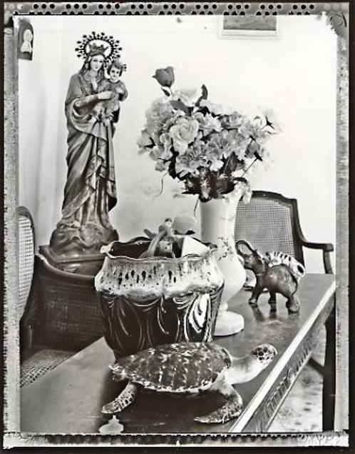 The Virgin and the Tortoise, Trinidad, 2002. © Elaine Ling