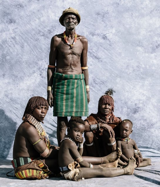 Hamar Family  Fig. V