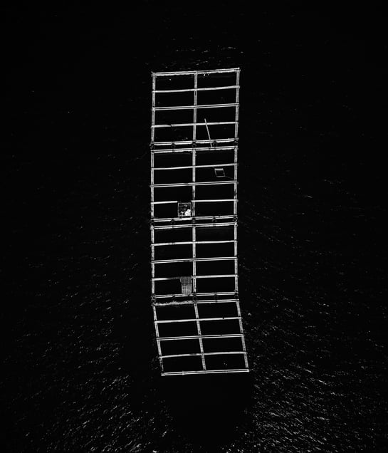 Void and Vessel Structure #5