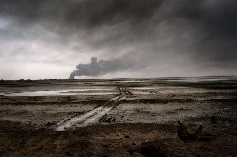 (珍しい本) DIES IRAE PAOLO PELLEGRIN (洋書) 珍しい本) DIES IRAE PAOLO PELLEGRIN (洋書)