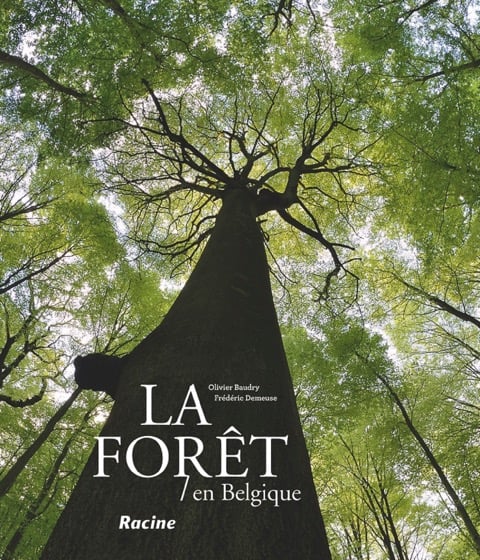 La Forêt en Belgique