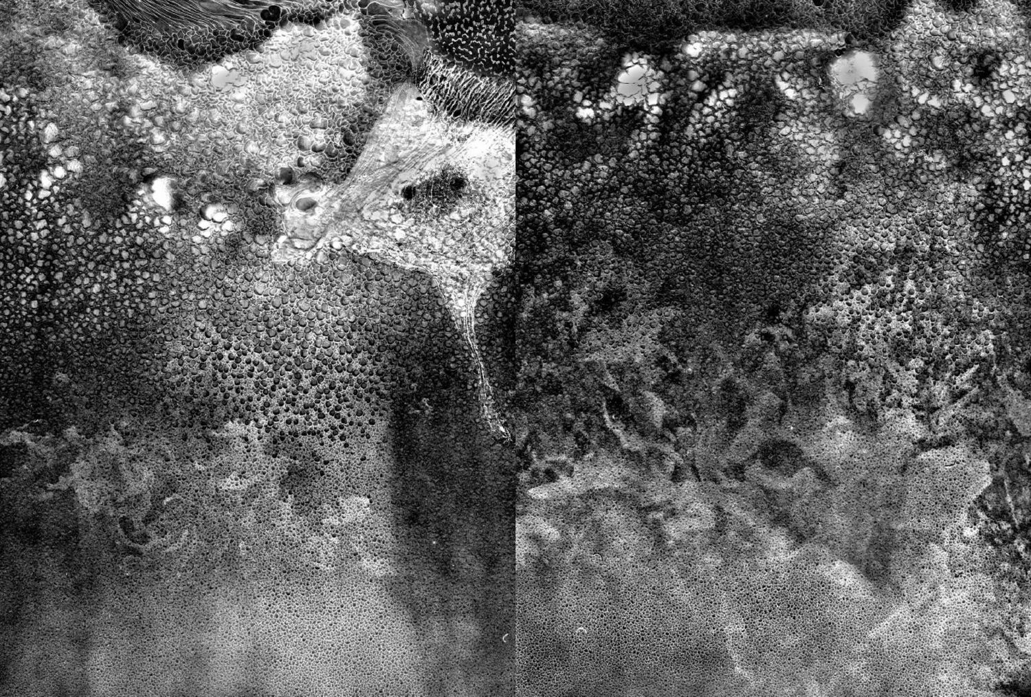 MATTER / BURN OUT - Photographs by Daisuke Yokota | LensCulture