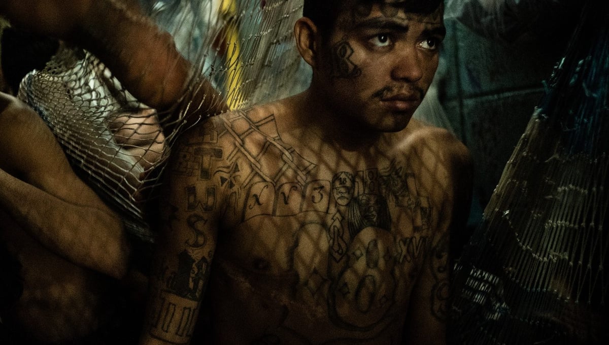 Cell mate