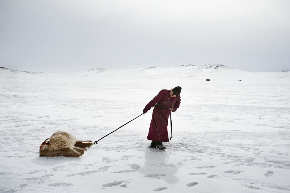 Environmental migrants: the last illusion.