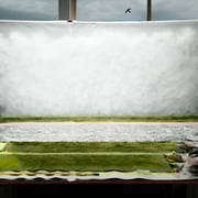 Jojakim Cortis And Adrian Sonderegger