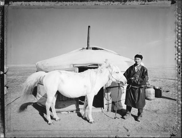 Mongolian Fast Horse (Nomadic Mongolia #41), 2004. © Elaine Ling