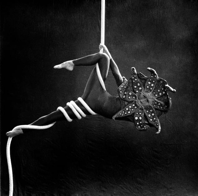 ¨Freaks¨ nº 20
