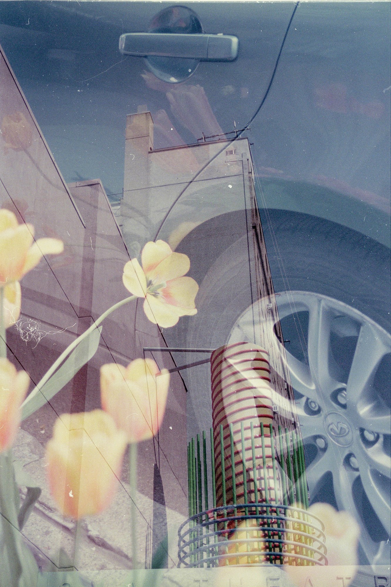 (and) in their echoes, we find ourselves