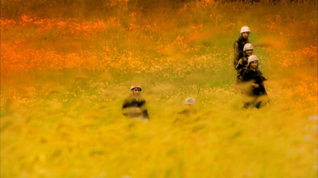 Persano, Italy (2014).  Libyan soldiers, training in Italy.  Scattered, advance, in high grass.