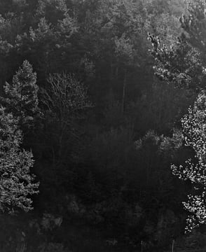 Blanco: Silent Landscapes - Interview with Awoiska van der Molen
