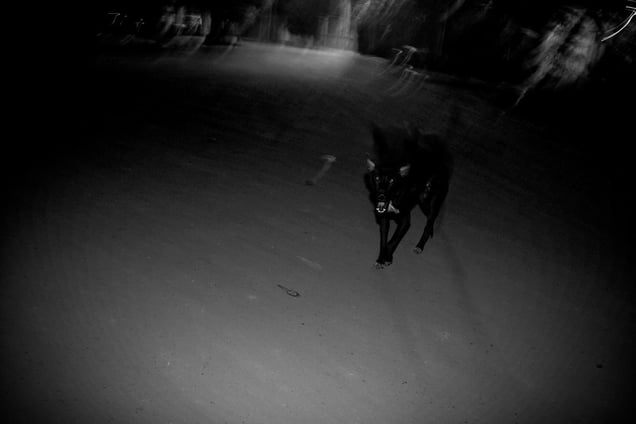 Inside My Head- Aji Susanto Anom - Siem Reap 2015