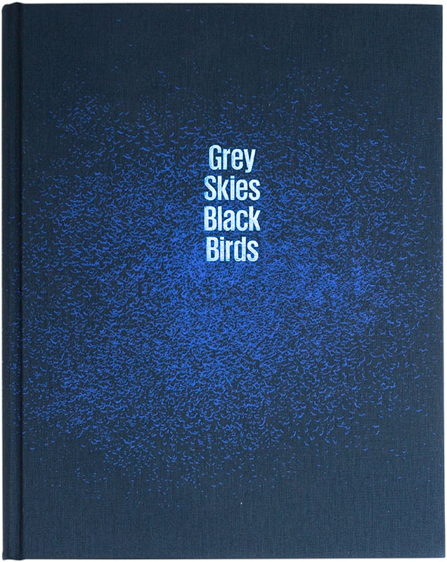 Grey Skies Black Birds