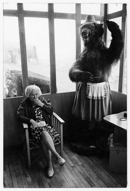 Elderly woman eating pie seated in a piershelter next to a stuffed bear, 1969. Tony Ray-Jones © The National Media Museum, Bradford, UK